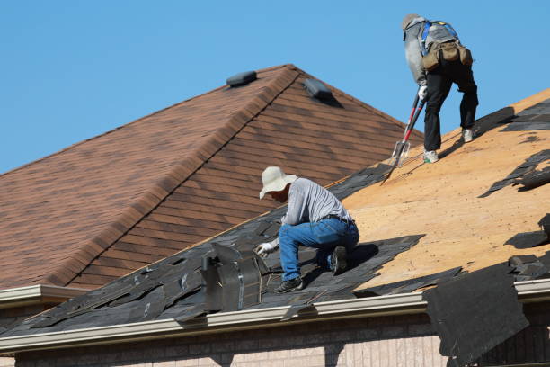Best Metal Roofing Installation  in Newton, IL