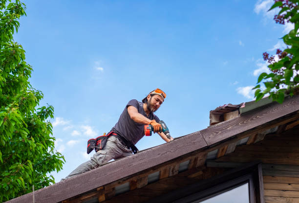 Best Chimney Flashing Repair  in Newton, IL