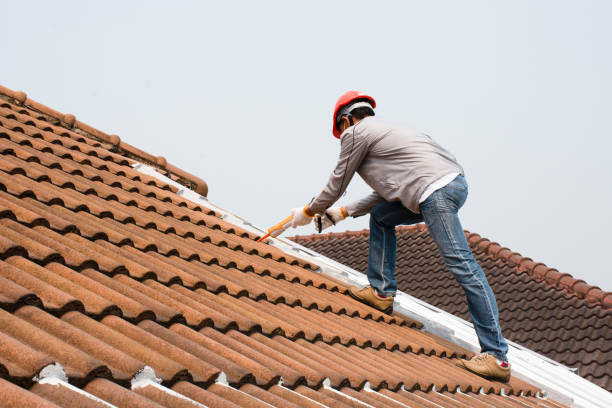 Best Gutter Installation and Repair  in Newton, IL